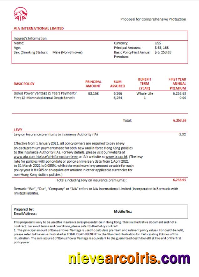 USA AIA invoice